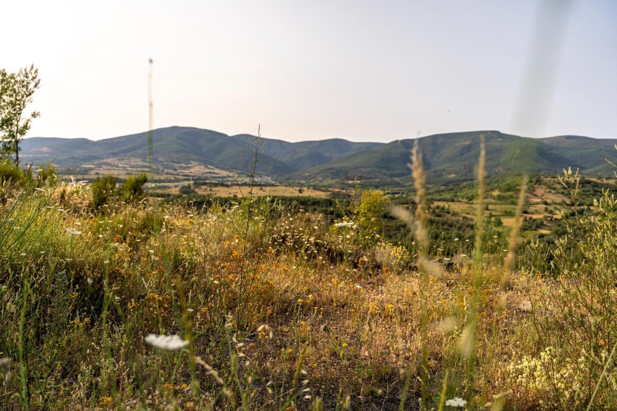 Casa De Turismo Rural Sardom3 Bembibre  Екстериор снимка